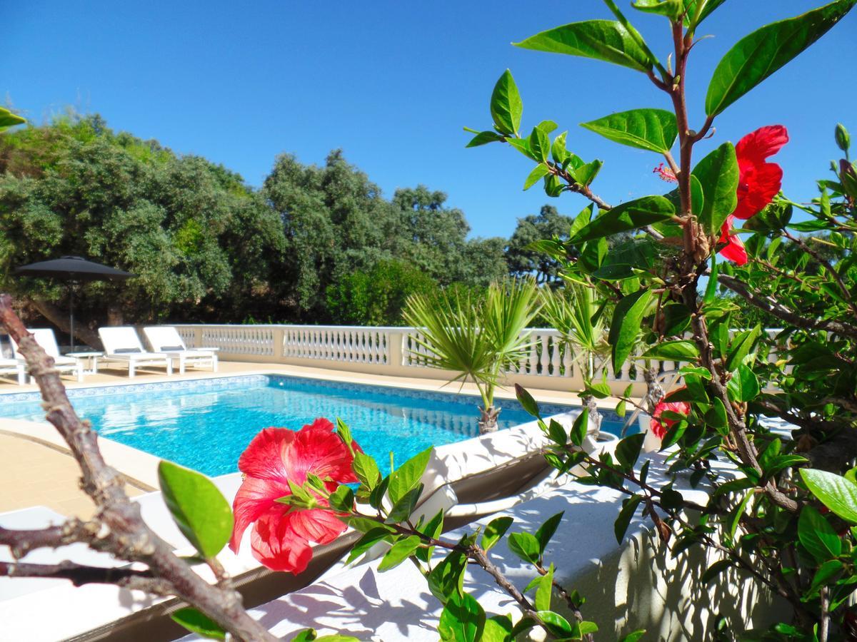 Panoramic Paradise Bed & Breakfast *